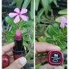 Romantic Bird DoDo Velvet Matte Lipstick Shade 06